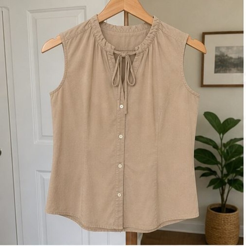 Sand Pleated Blouse